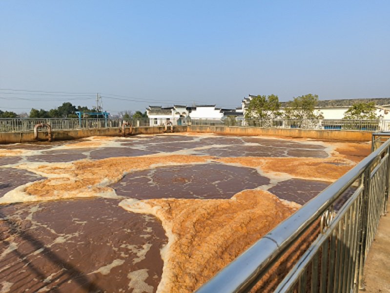 福建泉州某洗沙廠處理現(xiàn)場